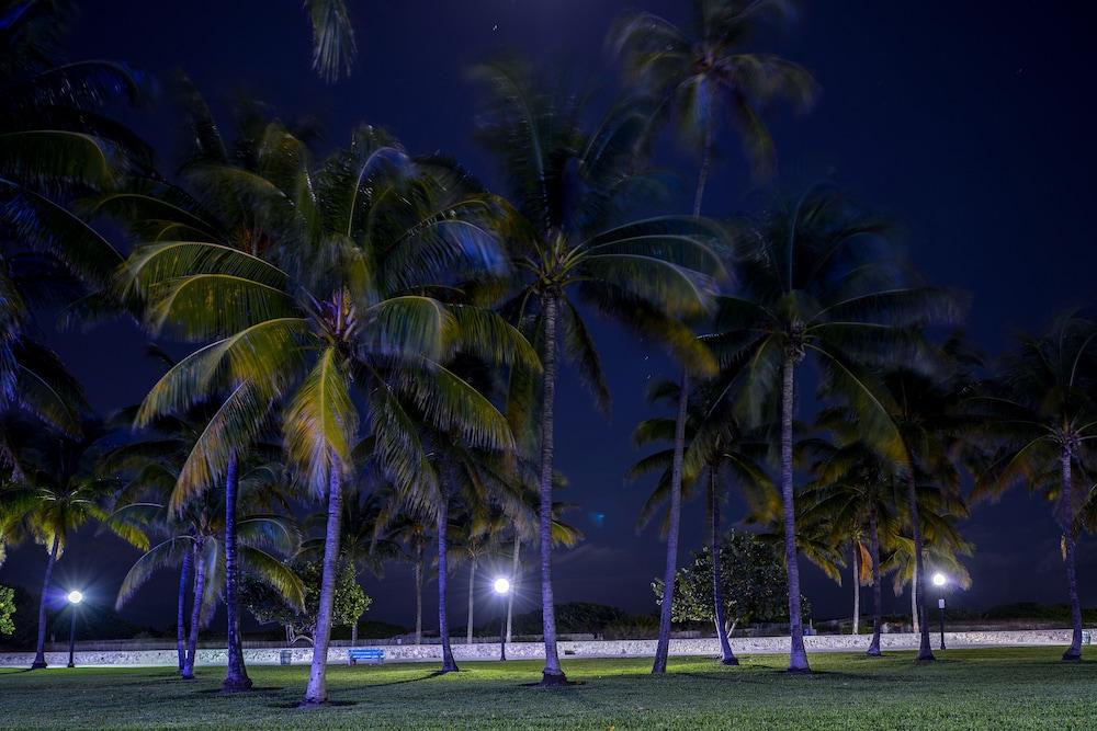 Hilton Vacation Club Crescent On South Beach Miami Μαϊάμι Μπιτς Εξωτερικό φωτογραφία